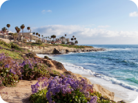 A beach with a wave crashing on the shore and palm trees along the coast.