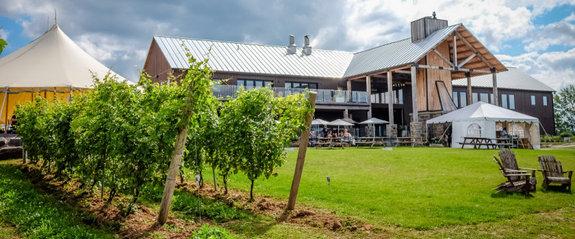A winery during summer