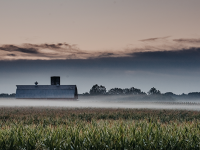 farm In the Midwest with fog hovering over the land