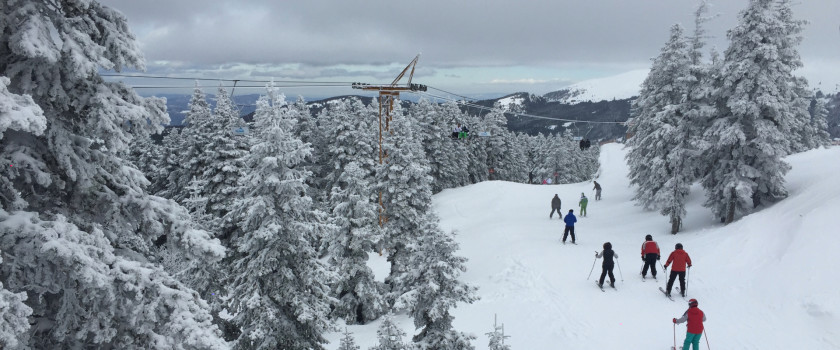 Trees covered in snow and people skiing in New England