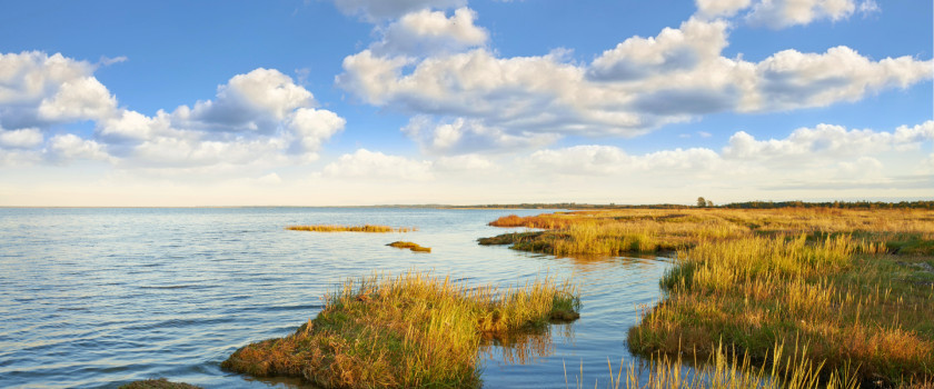 Body of water with a march and blue skies