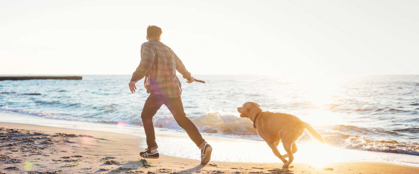 man and dog running on the beach
