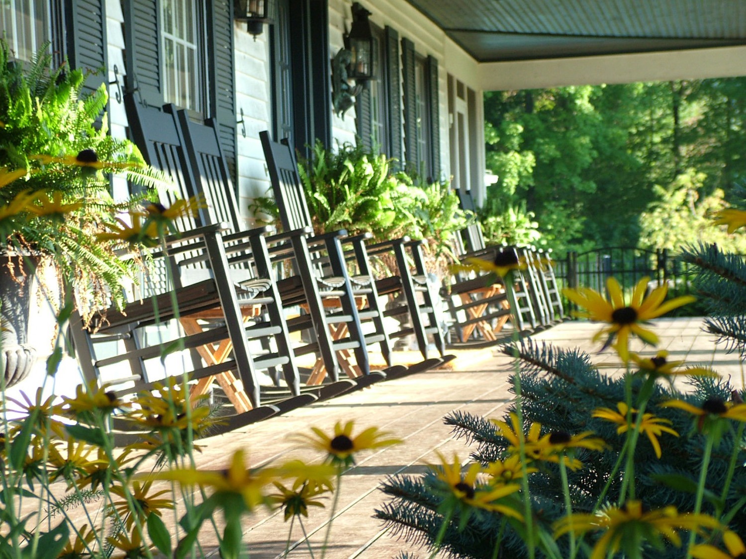 Welsh Hills Inn