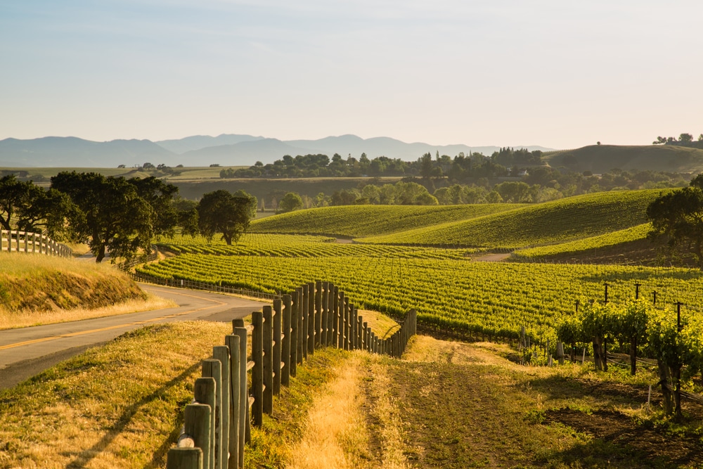 Beautiful views in the Santa Ynez Valley of California