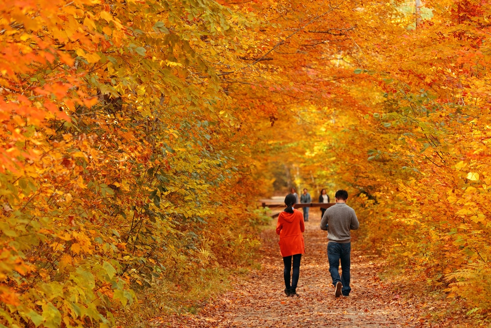 A couple hiking and enjoying the best of Vermont in the fall