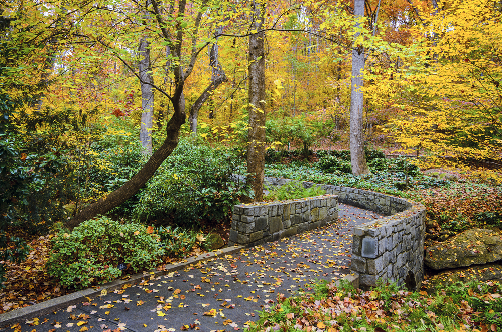 These beautiful botanical gardens are one of the best things to do in Athens GA This Fall